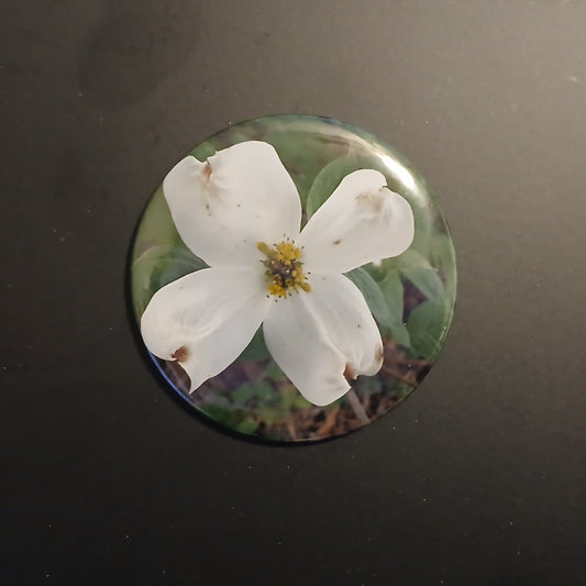 Virginia Round Magnet Set - Dogwood, Redbud, Front Royal Gazebo