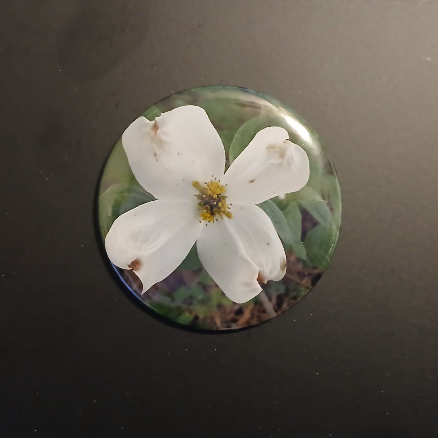 Virginia Round Magnet Set - Dogwood, Redbud, Front Royal Gazebo